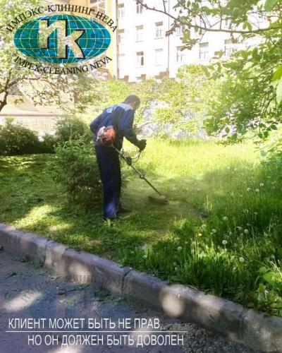 Покос травы на территории