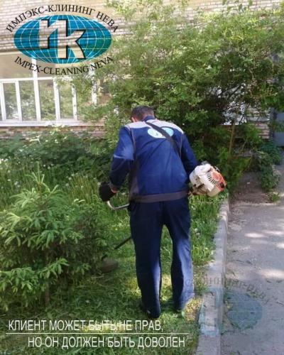 Покос травы на территории