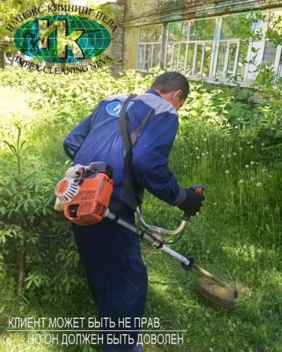 Скос травы на территории