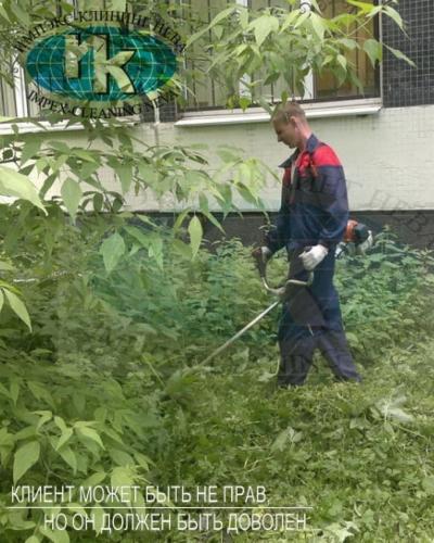 Удаление растительности вокруг школы