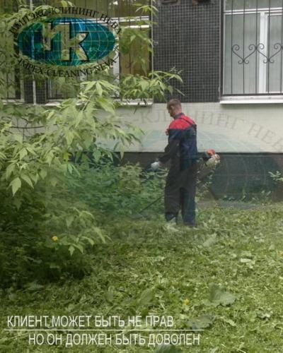 Удаление растительности вокруг школы