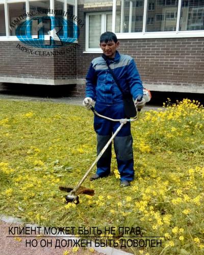 Покос травы весной на территории жилого дома