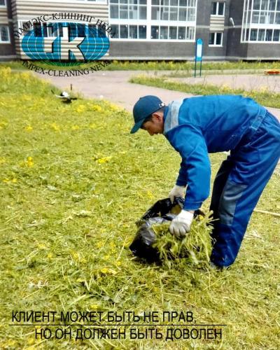 Покос травы весной на территории жилого дома