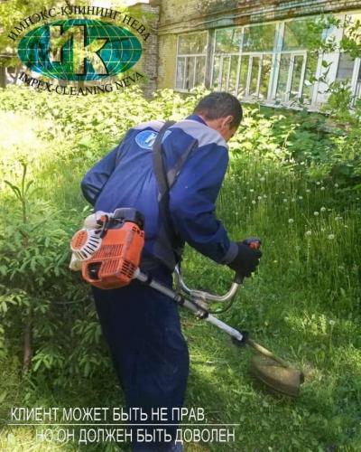 Покос травы