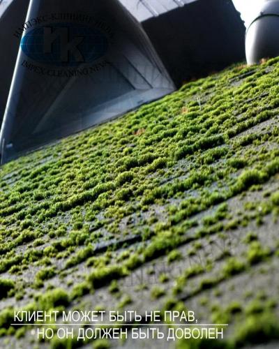 Мягкая кровля до чистки