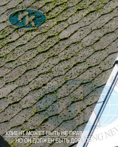 Мягкая кровля до чистки