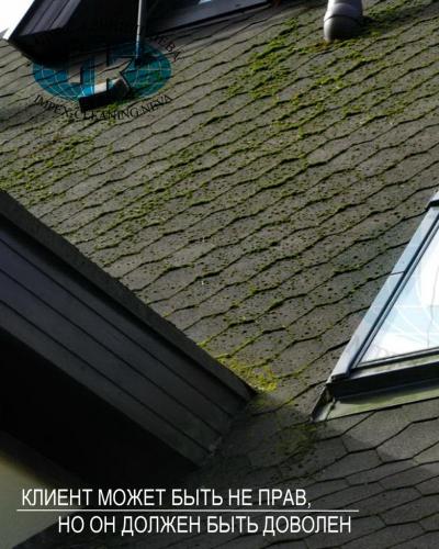 Мягкая кровля до чистки