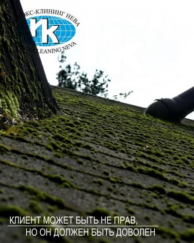 Мягкая кровля до чистки