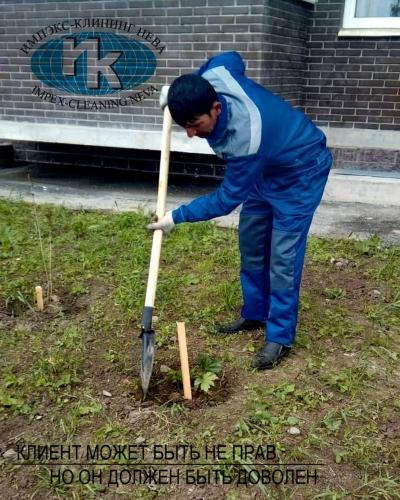 Бережно сажаем растительность