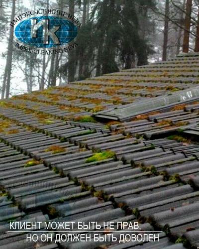 Мойка металлочерепицы альпинистами