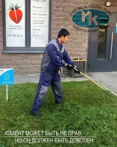 Уборка газона жилого дома