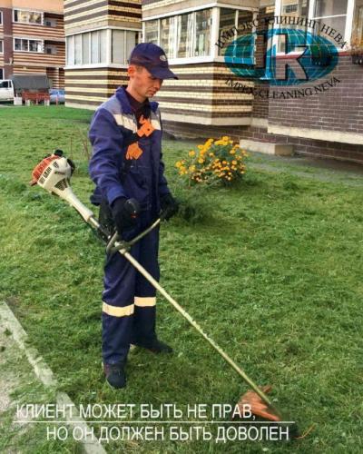 Покос травы во дворе жилого дома